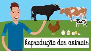 REPRODUÇÃO DOS ANIMAIS