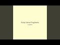 Pulse Velvet Fragments