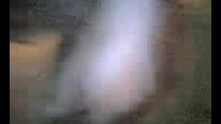 lyles b-dai drink up