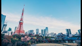 ザ・プリンス パークタワー東京から眺める風景 vol.3