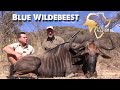 Hunting Blue Wildebeest, South Africa 2019