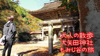 大人の散歩　大矢田神社『もみじ谷の旅』