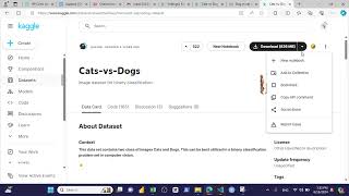 Deep Learning Dogs and Cats images Classification using Pretrained Model