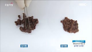 [Morning Show]Bungeoppang vs Ingeoppang difference?! 붕어빵 vs 잉어빵의 차이?![생방송 오늘 아침] 20180129