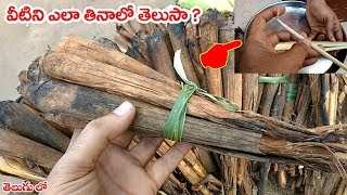 తాటి తేగలను ఎలా తినాలో తెలుసా ? || how to peel and eat tati tegalu ( tender palm shoots )