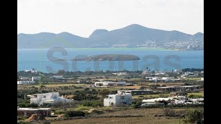 Scopas: D339 Land 17000m2 for sale in Agkairia Paros island Greece