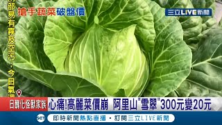 菜農QQ....高麗菜界的LV從300跌到剩20元！平地高麗菜產量爆增..影響高山高麗菜價格也崩盤｜記者 廖國雄 朱怡蓉｜【LIVE大現場】20210304｜三立新聞台