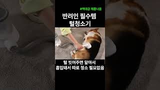 강아지 털청소기