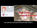 군주온라인 2024 06 18 신규 소환영웅 사방주작 금선 출시