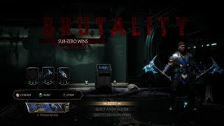 Mortal Kombat 11  - Sub-Zero's New Brutality Victory  Pose