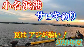 2023年夏福島県いわき市小名浜港『アジ・サバ釣りに挑戦！』夏は アジが熱い！ 「カンニング竹山さんも絶賛・人気ラーメン店!!」【投げウキサビキ釣り】