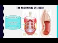 The Muscles of Breath Support in Singing: Anatomy & Function of Breath Support in the Body vid1 of 2