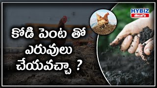 కోడి పెంట తో ఎరువులు వేయచ్చ? |  Chicken manure To Fertilizers | Dr. Bala Swamy | Hybiz Telugu