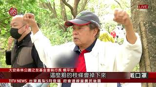 大安森林公園松鼠大量繁殖 危樹木生存 2021-03-02 IPCF-TITV 原文會 原視新聞