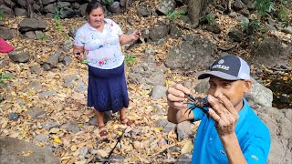 Mira que gran cangrejo 🦀 atrapo marrinche para niña odilia / la quebrada con mas cangrejos