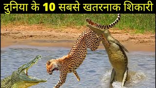 दुनिया के 10 सबसे खतरनाक शिकारी जानवर .10 most dangerous predators in the world