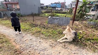 高哥记录尼泊尔生活带高兴出来外面吃点，小家伙还挺开心的。