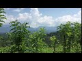 the hill highway through palakkad forests kerala