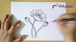 How to Draw Poppy Flower Easy
