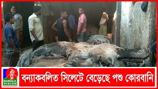 লোডশেডিং ও তীব্র গরমে অতিষ্ঠ চামড়া শ্রমিকরা | BVNEWS24