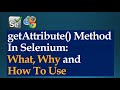 getAttribute() Method In Selenium WebDriver: What, Why, and How to use | Java | Beginners Tutorial