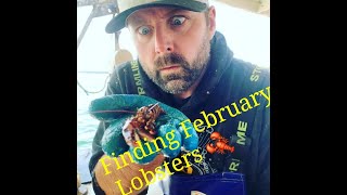 Maine Lobster Fishing in February