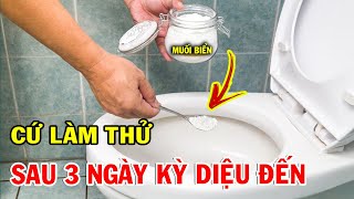 Cứ Vứt 1 Ít Muối Vào Bồn Cầu, Sau 3 Ngày AI CŨNG MỪNG RỠ Vì Kết Quả Đạt Được