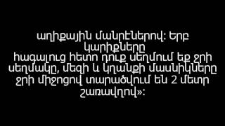 Ահա, Թե Ինչու Այլևս Երբեք Հեռախոսը Ձեզ Հետ Չեք Տանի Զուգարան