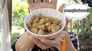 Cheat Day2 |  พาไปลองก๋วยเตี๋ยวเรือโกแบ๋น บางกร่าง ดีจริงอย่างที่คิดมั๊ย !!