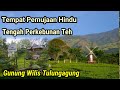 Tempat Pemujaan Hindu Tersembunyi Lereng Gunung Wilis Tulungagung