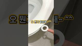 (다이소) 변기에 손잡이를 달아주면 이렇게 됩니다 #다이소 #꿀템