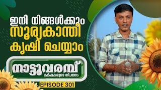 ഇനി നിങ്ങൾക്കും സൂര്യകാന്തി കൃഷി ചെയ്യാം | NATTUVARAMBU | EPISODE-301 | JANAM TV | 28-01-2025