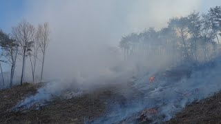 순천 산불 16시간만에 진화…산림 5㏊ 소실 / 연합뉴스TV (YonhapnewsTV)