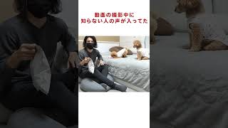 【心霊現象】動画の撮影中に知らない人の声が入ってた… #Shorts