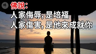 佛說：人家侮辱你，你要當作是培福；人家傷害你，你要當作是他來成就你【佛心福樂】