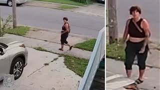 Norfolk Police need help identifying vandalism suspect