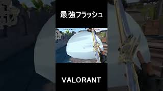 KAYOおすすめのフラッシュ合わせ～ブリーズBサイト～【VALORANT】#shorts