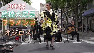 【豊橋大道芸】一番最初に観たフラメンコ。オジロス