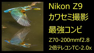 Nikon Z9 　Z70-200mmf2.8＋TC-2.0x　AF\u0026トリミング画質検証