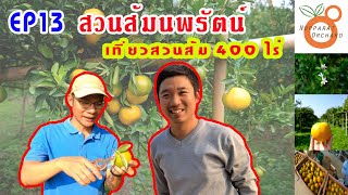 EP13เที่ยวสวนส้มนพรัตน์ อ.แม่อายจ.เชียงใหม่#Nopparat Orchard#ส้มสายน้ำผึ้ง#โม้ไปเรื่อย !!! ByTonlove