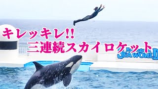 「ラビー・ララ・ルーナ」待望の三連続スカイロケット!! 鴨川シーワールド シャチショー KamogawaSeaWorld  orca killerwhale