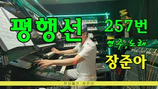 장준아 평행선 257번 전자올겐 디스코 라이브연주노래 준아기획010 8880 9498