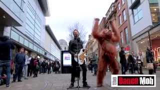 MyMate finance flashmob with Chesney Hawkes