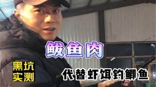 黑坑实测鲅鱼肉代替虾饵钓鲫鱼 一款拉饵 孔雀羽浮漂