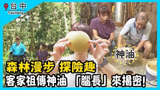 【GoGoTaiwan】台中｜東勢林場避暑好地方-夏日的好滋味“巨”梨-拜訪台灣『末代腦長』