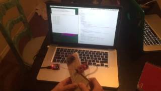 IMU GUI Interaction