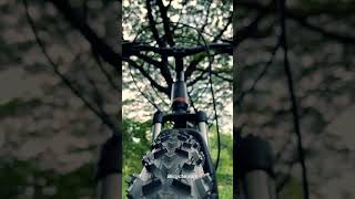 CRADIAC STORM 29 T Mountain Cycle | The Perfect MTB Cycle in India |