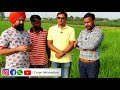 ਝੋਨੇ ਚ ਦਹੀਂ ਦਾ ਸਪਰੇਹ ਕਿਵੇਂ ਕਰਨਾ use of curd in paddy as foliar spray