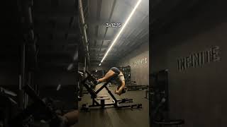 Leg Day Workout