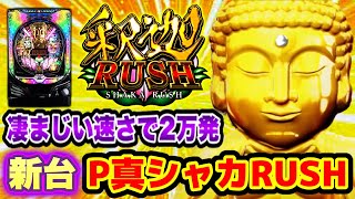 【新台】P真シャカRUSH パチンコ新台 速くてめちゃ出るシャカバインで2万発!?  ファインプレーの役物突破なるか!?  プレミア超激アツシャカ美何度も登場！ パチンコ実践 【マルホン工業】